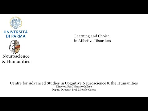 Learning and Choice in Affective Disorders