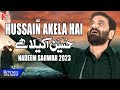 Hussain Akela Hai Nadeem Sarwar 2023 1445