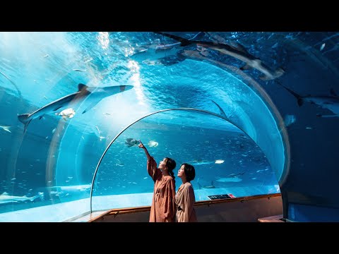 【美肌県しまね】大田市・江津市・浜田市を旅する「#癒し空間で優雅な美肌女子旅」