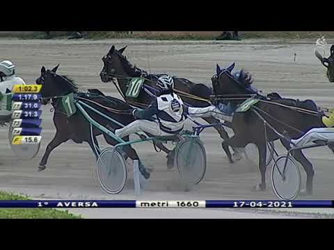 Aversa trotto 17 Aprile 2021 - 1° Corsa