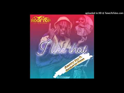 Country Boy ft Barakah de Prince   I like That