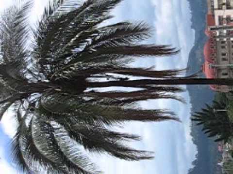 WILLY DE BLACK 4to  Festival de Batucadas  La Bandada de la Madre Cuenca