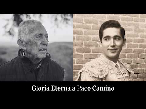 Gloria Eterna a Paco Camino | 1940 – 2024