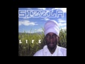 Haven't I Told You- Sizzla [Life]