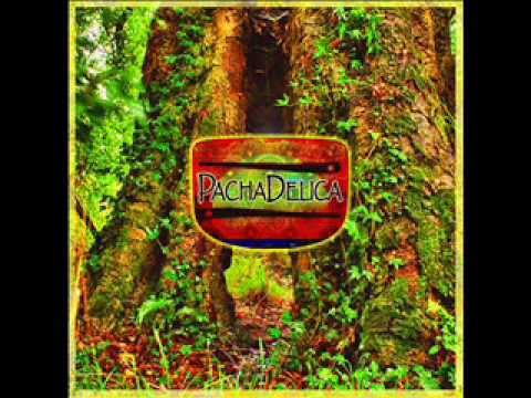 Pachadelica - Agua libre de flúor (del nuevo disco 