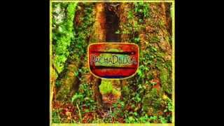 Pachadelica - Agua libre de flúor (del nuevo disco 