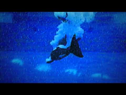 BLACKFISH-Teaser