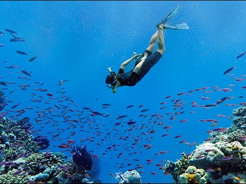 1ère SPÉ : DESCRIPTION D’UN FLUIDE AU REPOS (PARTIE 1)