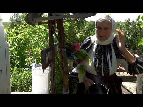 Grupul folcloric Grecesti-Cernatesti, Dolj