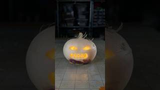 Download lagu Turnip Jack O Lantern mp3 Download lagu Turnip Jack O Lantern mp3