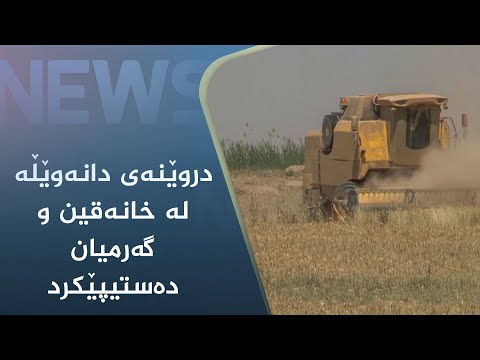 بەڤیدیۆ.. دروێنەی دانەوێڵە لە خانەقین و گەرمیان دەستیپێکرد