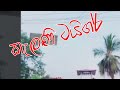 Kalani Tiger Bus New Video
