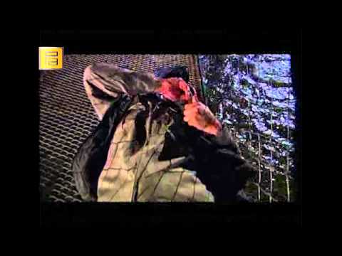 download lagu mp3 mp4 97 9, download lagu 97 9 gratis, unduh video klip 97 9