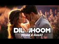 Dil Jhoom Lofi Song Lofi Operator Boy Arijit Singh Song