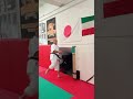 Kyokushin Leg Training