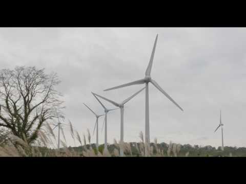 郡山布引風の高原 赤津のカツラ HD