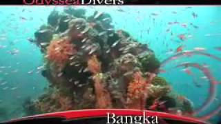 preview picture of video 'ODYSSEA dive Sulawesi'