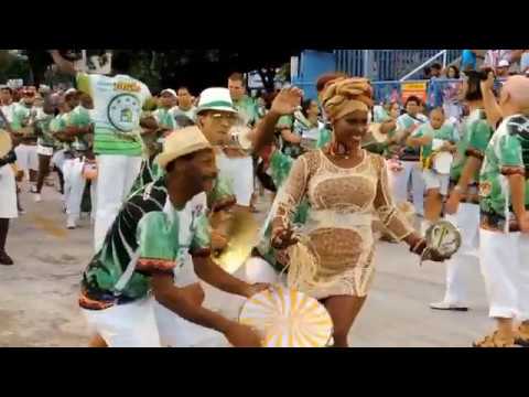 Carnaval 2014 - G. R. E. S. Acadêmicos do Cubango