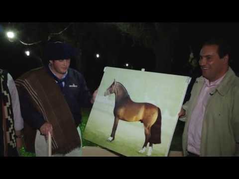 Reconquista - Remante 2013