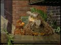 Classic Sesame Street Hoots And Athena Talk About Practice Season 20
