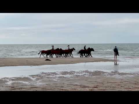 image : Balade à cheval sur la plage de Deauville