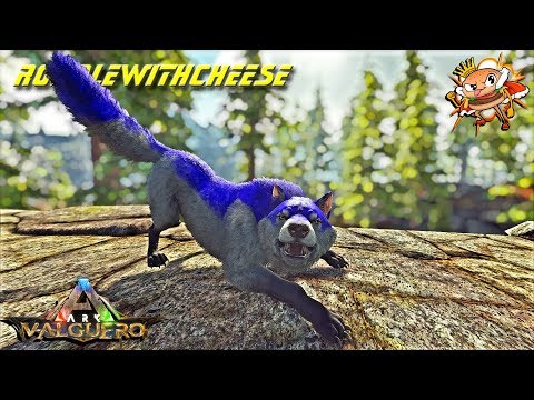 And My Wolf Pack... It Grew By One. Max Level Wolf Taming! - Ark: Valguero [DLC Gameplay E8]