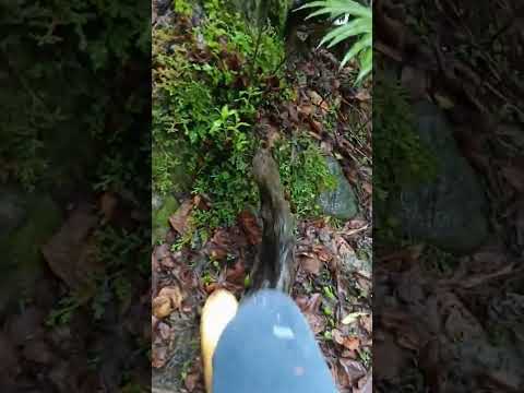 UN TESORO DE LA NATURALEZA ES SANTA BÁRBARA SANTANDER COLOMBIA 
