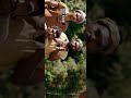 Music Of Shiva Shivaya Potri