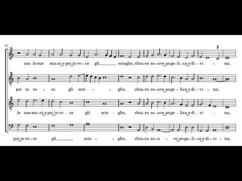 Verdelot: Quando Amor i begli occhi - Profeti della Quinta