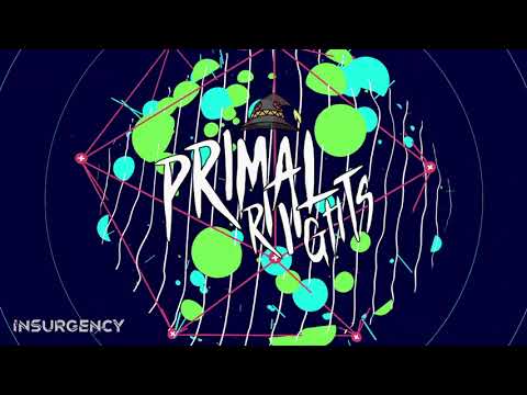 Primal Rights @ Insurgency 2021 - FULL SET