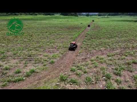 Razer en la naturaleza súper divertido en las peñas del gallego Córdoba Veracruz 