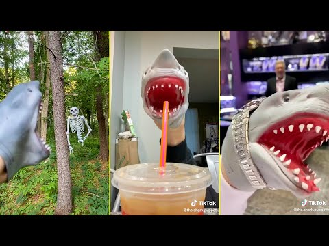 Bests The Shark Puppet Tik Tok Compilation | Funny Shark Puppet Shorts 2021