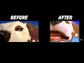 Nickelodeon Dog Spot ID Comparison 2002 2005