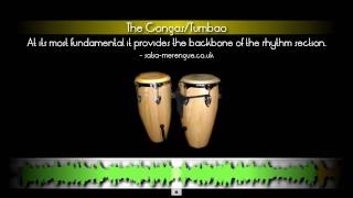 Salsa Music & Timing II