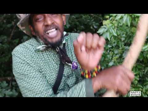 LEAVES & TREES - TUFFY IRIE / ROOTS HITEK (2022)