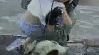 wisin y yandel oye donde esta el amor