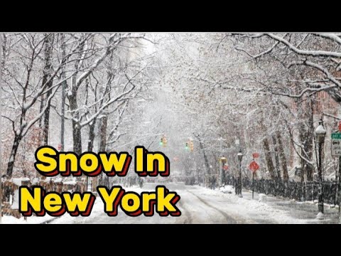 2024 年ニューヨークの降雪☃️❄🌨 米国のパキスタン人ママ