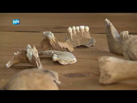 Kinderen vinden eeuwenoude menselijke resten in duinen Bergen aan Zee