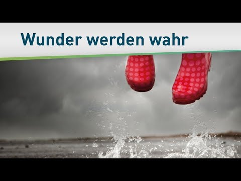 Das Leben ist doch wunderbar – Bayless Conley