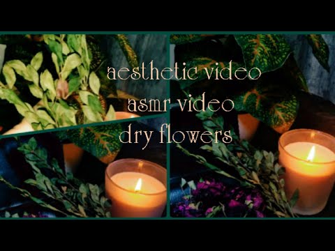 Aesthetic video 📸 ASMR video Dry flowers 🌹#foryou #foryoupage #aesthetic #youtubevideo #viral