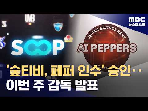 페퍼 인수한 SOOPTV, 여자배구 7구단 체제 유지