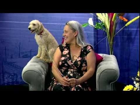 Dunavsko popodne 23.6 - gost Gordana Rokvić