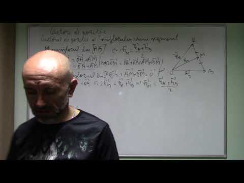 Vectori de pozitie clasa a 9-a