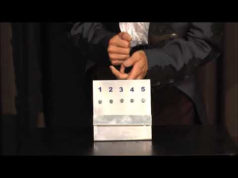 Bolt Prediction by Sorcier Magic