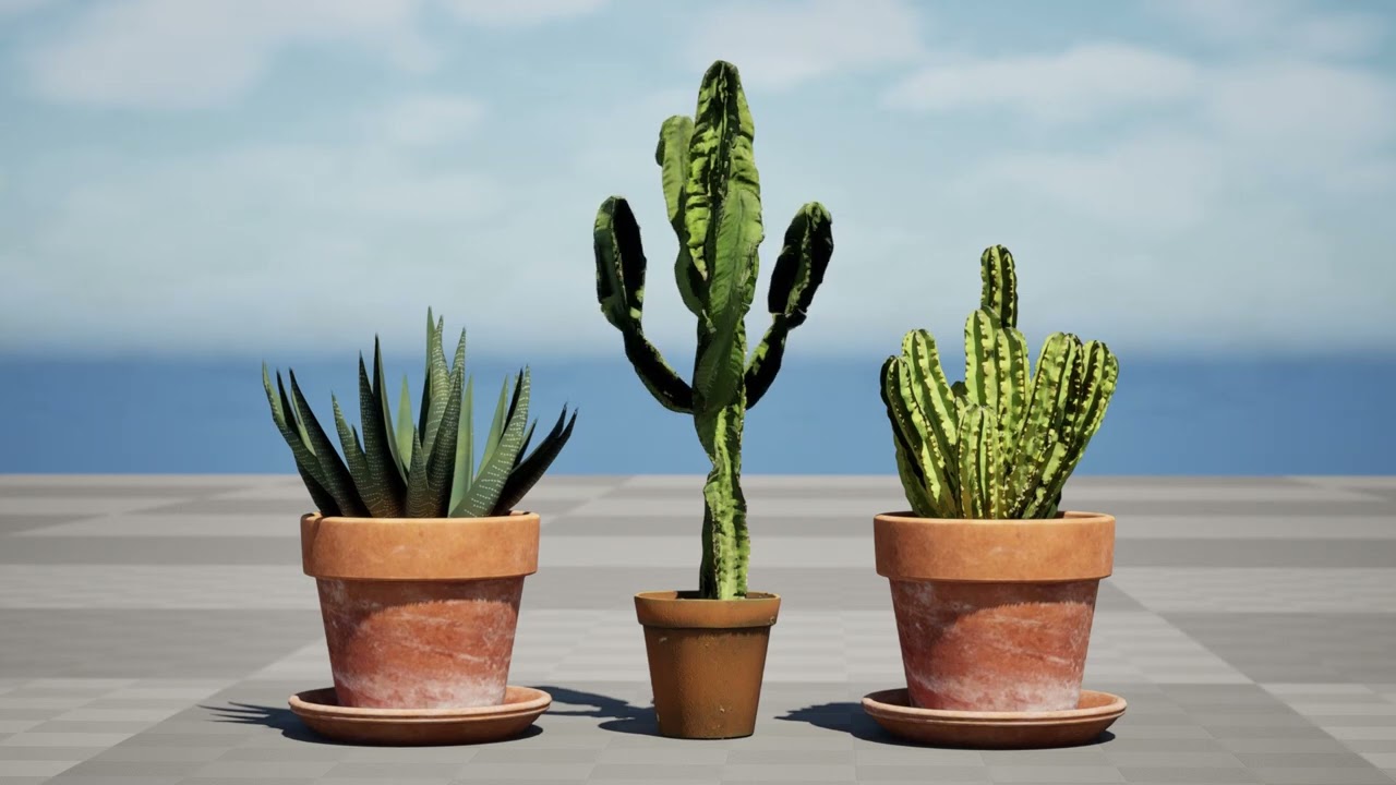 Realistic Indoor Cactus Collection 3D Model