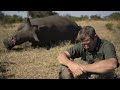 Carter S War One Rhino At A Time S2 E3 African Wildlife Rescue Wildlife Documentary In Hindi