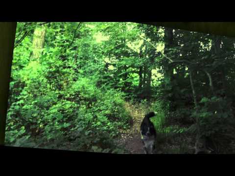 Wohattadakakkana (Randy Lee Kay)