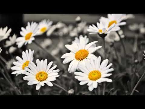 Benne - Für immer bleibt