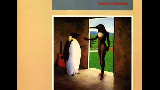 Penguin Cafe Orchestra - Simon's Dream