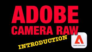 How to Use Adobe Camera Raw